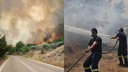 καίει-δασική-έκταση-φωτιά-τώρα-στην-τα-77017