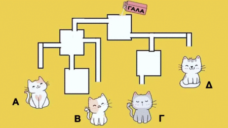 τεστ-iq-mπορείτε-να-βρείτε-ποiα-γάτα-θα-πiει-130356