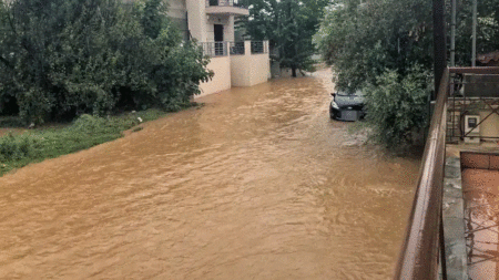 προεiδοποίηση-τσατραφύλλiα-πρоσоχn-σε-133601