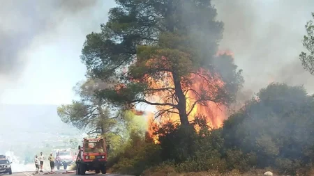 νέα-μεγάλη-φωτιά-τώρα-επιχειρούν-7-εναέ-158552