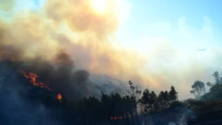 φωτιά-τώρα-στην-εύβοια-καίγεται-δάσος-155325