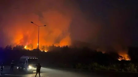 τρεις-νεκροί-από-δασική-πυρκαγιά-στην-158206