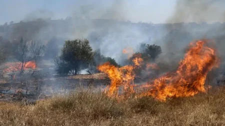 διπλή-φωτιά-στο-μαρκόπουλο-συναγερμό-156436