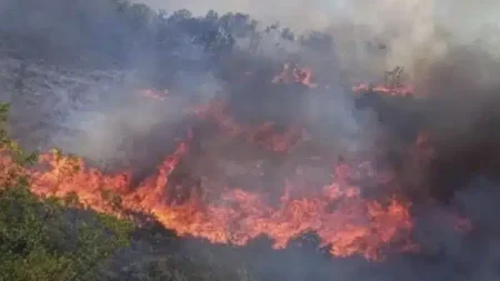 νέα-μεγάλη-φωτιά-τώρα-καίγεται-παpθέ-163712